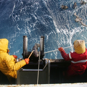 Rencontre avec les pêcheurs de légine australe de Kerguelen